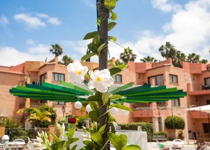 Mandi Golf 4* Плая-де-лас-Америкас