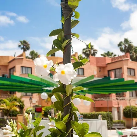 Mandi Golf 4* Playa de las Americas (Tenerife)